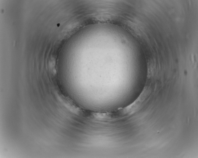 X0000088650187200706081647