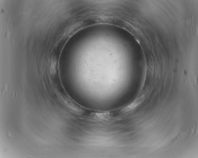 X0000088650188200706081647