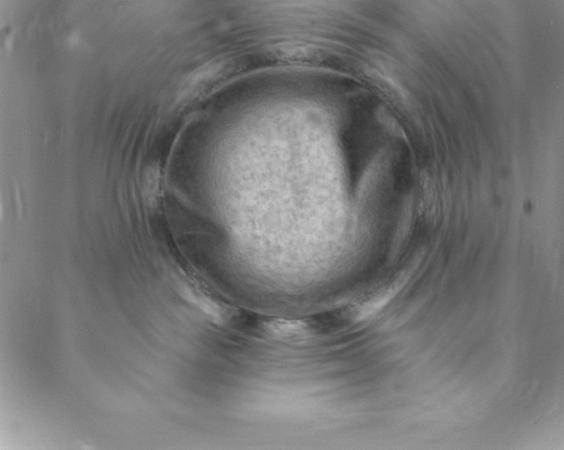 X0000088650189200706081647