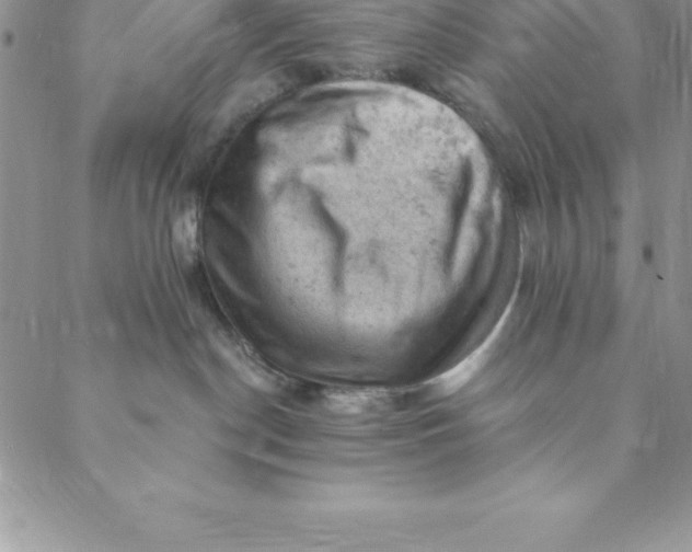 X0000088650190200706081647