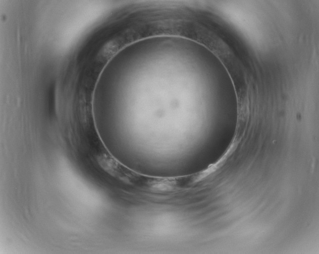 X0000088650191200706081647