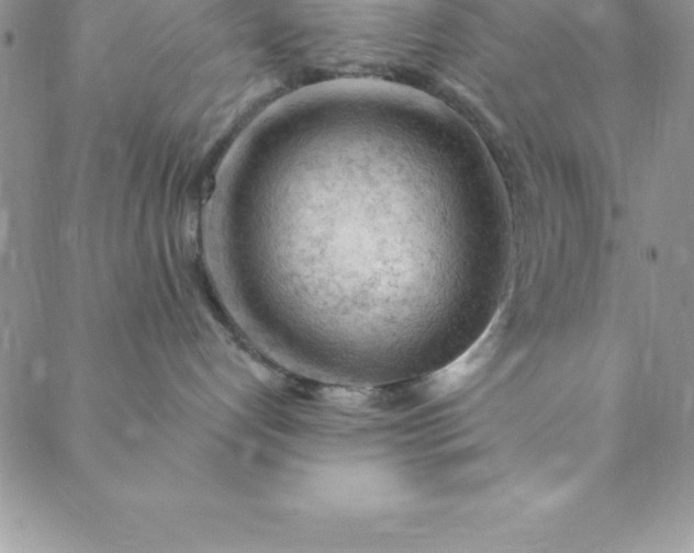 X0000088650192200706081647