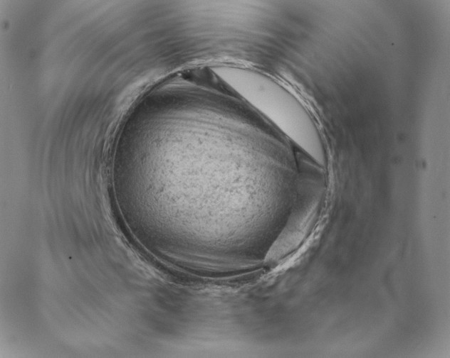 X0000088650193200706081646