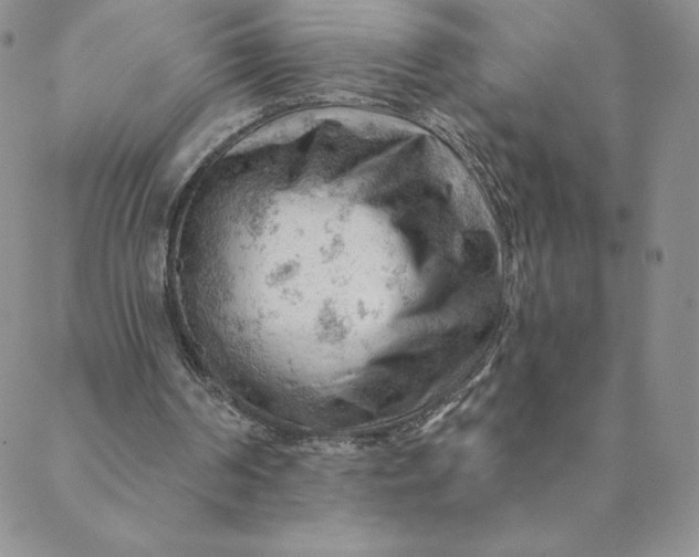 X0000088650194200706081646