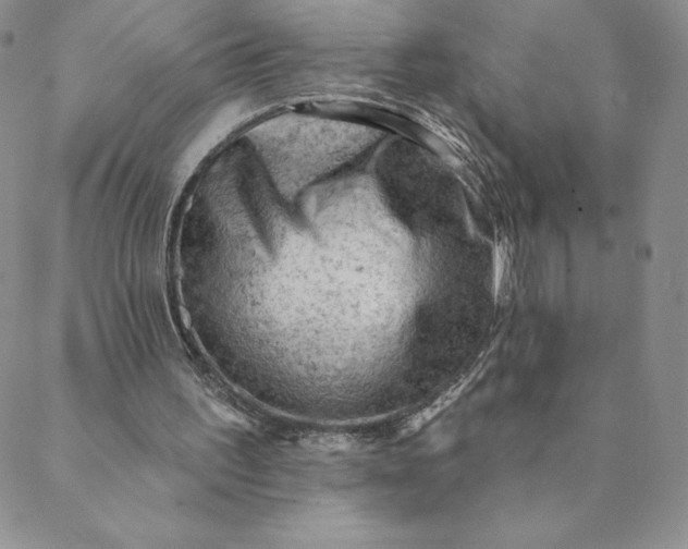 X0000088650195200706081646