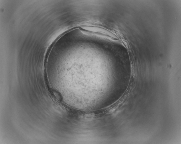 X0000088650196200706081646