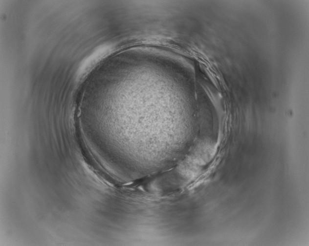 X0000088650197200706081646