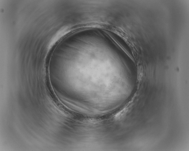 X0000088650198200706081646