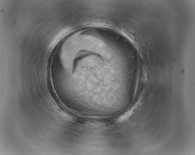 X0000088650199200706081646