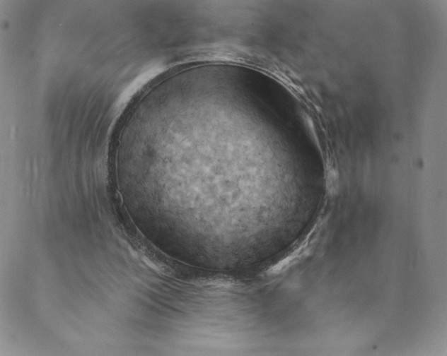 X0000088650200200706081646