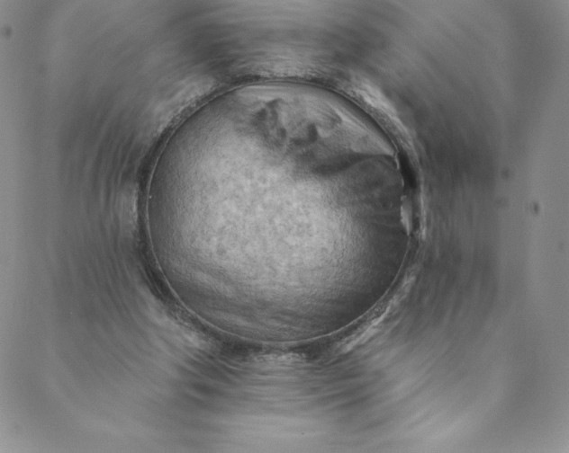 X0000088650202200706081646