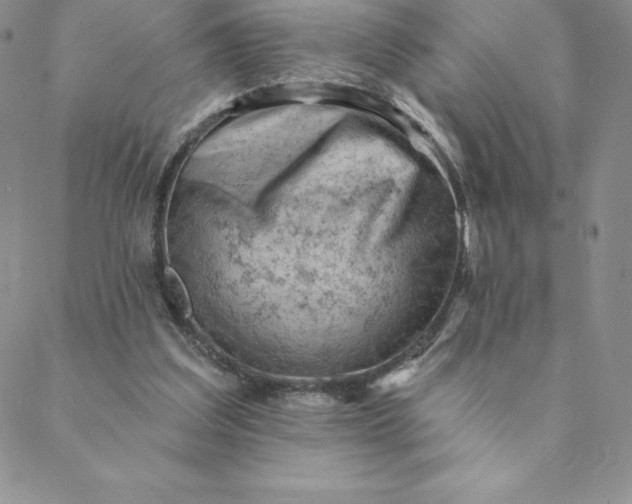 X0000088650203200706081646