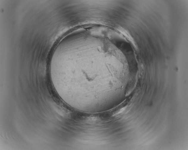 X0000088650204200706081646