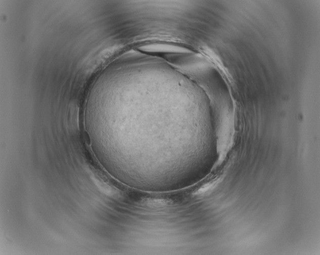 X0000088650205200706081646