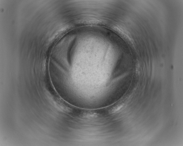 X0000088650206200706081646