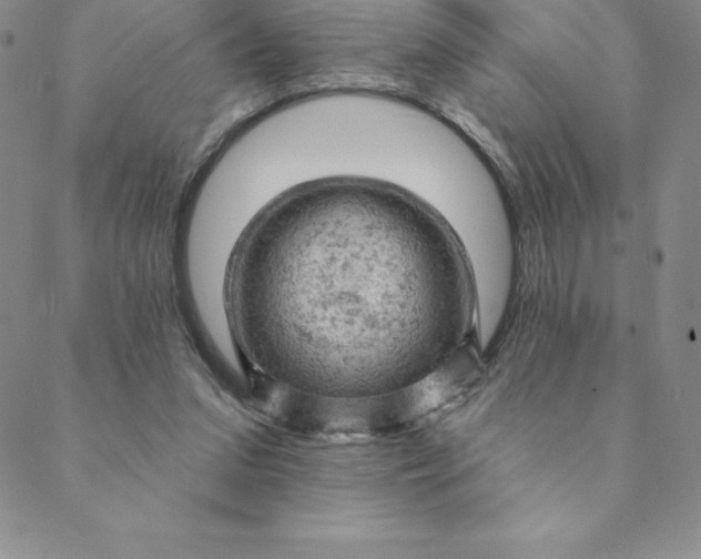 X0000088650207200706081646