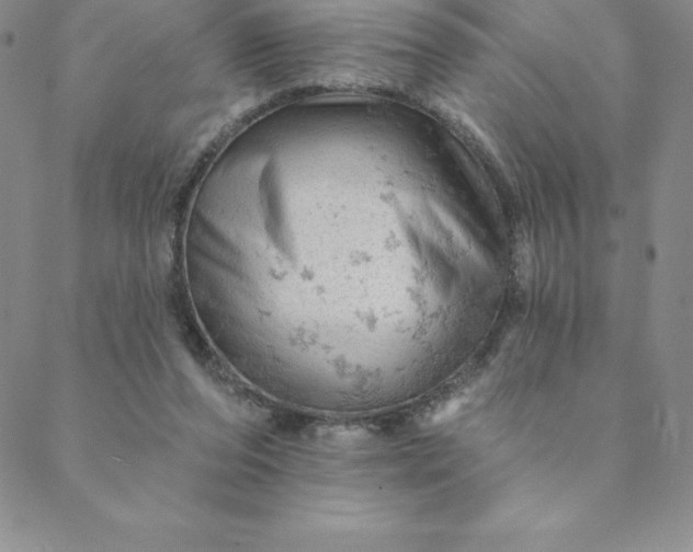 X0000088650208200706081646