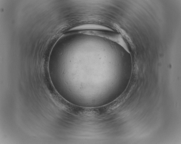 X0000088650209200706081646