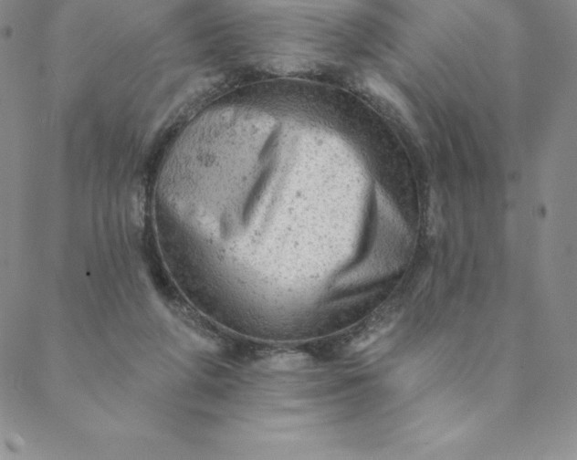 X0000088650210200706081646