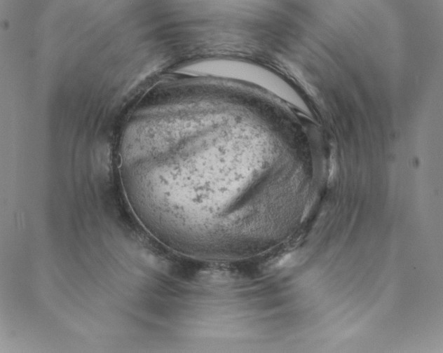 X0000088650211200706081646