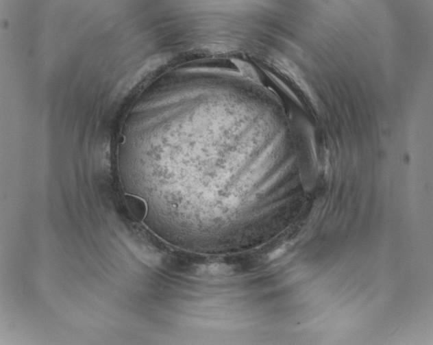 X0000088650212200706081646