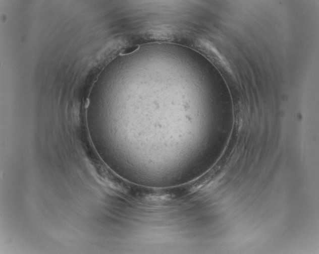 X0000088650213200706081646