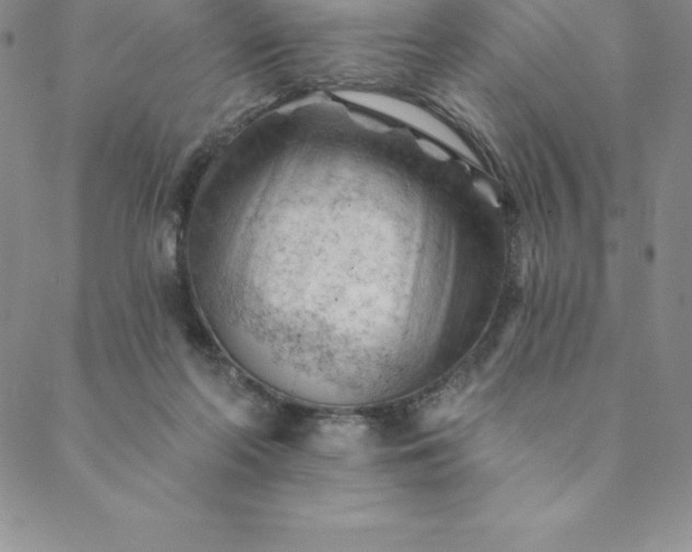 X0000088650214200706081646