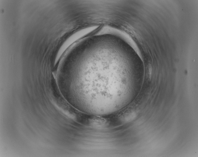 X0000088650215200706081646