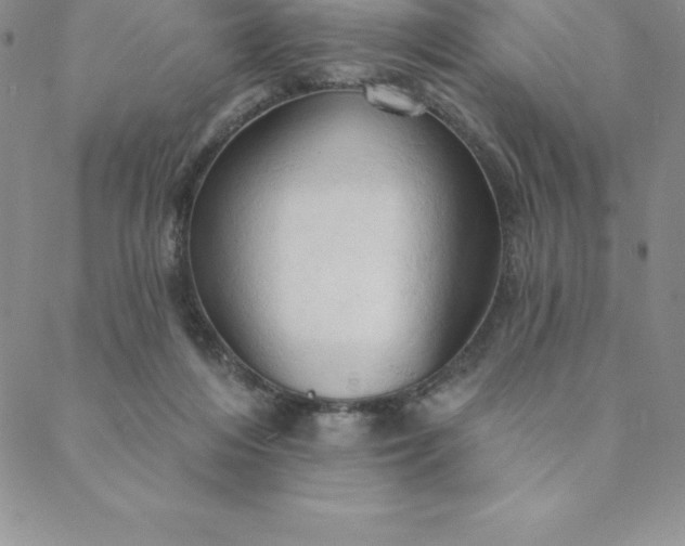 X0000088650216200706081646