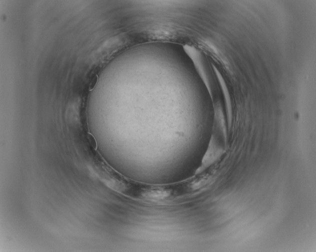 X0000088650217200706081646