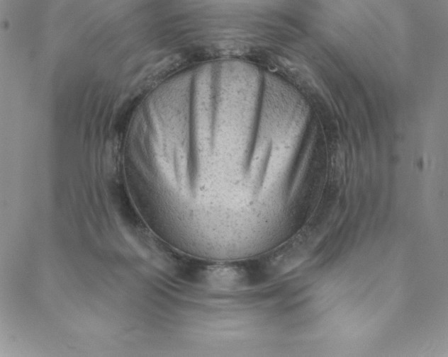 X0000088650218200706081646