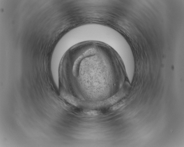 X0000088650219200706081646