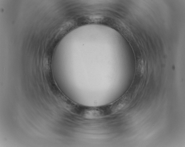 X0000088650220200706081646