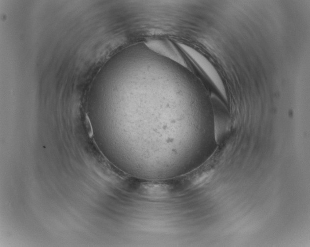 X0000088650221200706081646