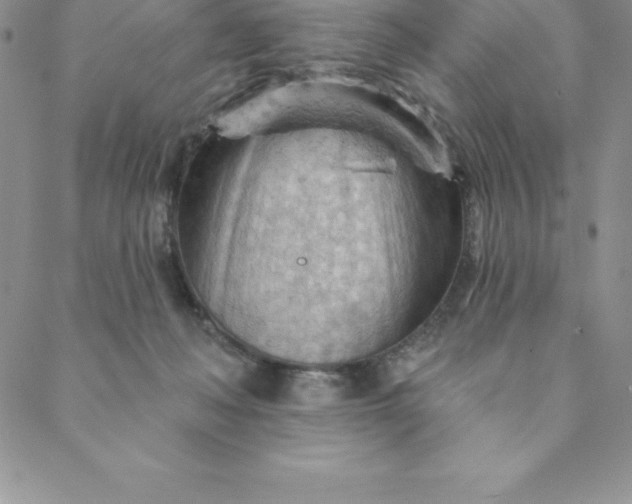 X0000088650222200706081646