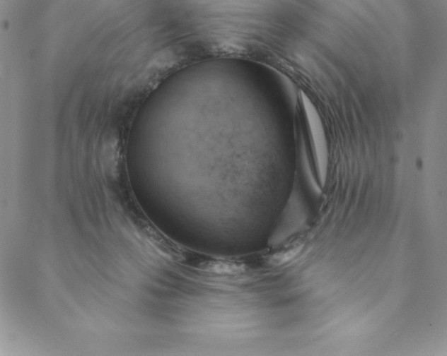 X0000088650223200706081645