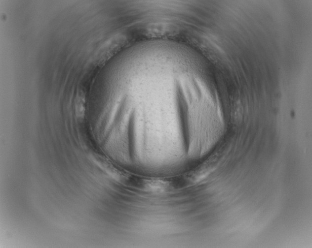 X0000088650226200706081645