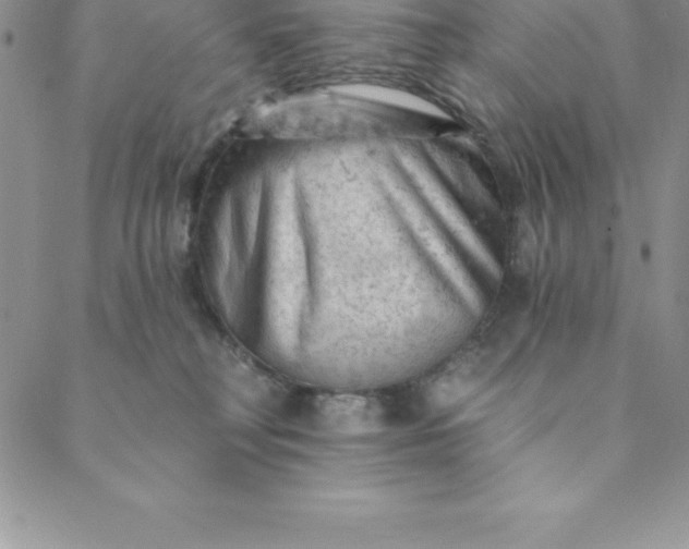 X0000088650230200706081645