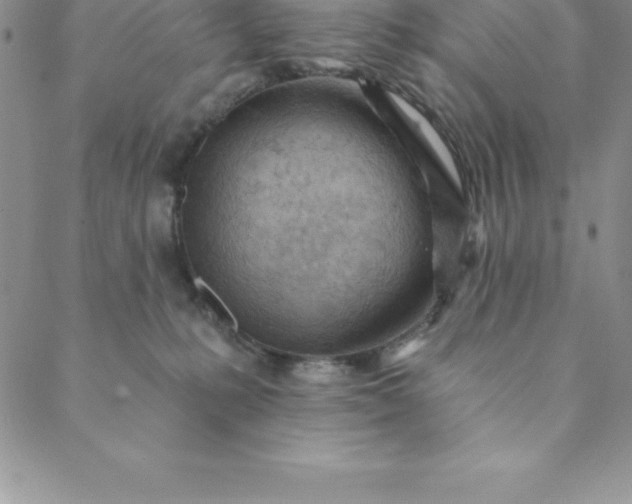 X0000088650231200706081645