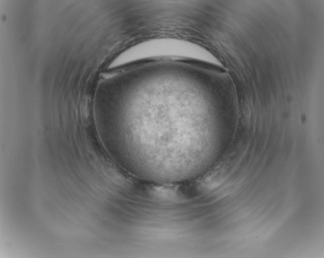 X0000088650232200706081645