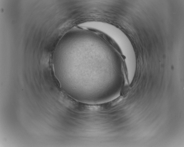 X0000088650233200706081645