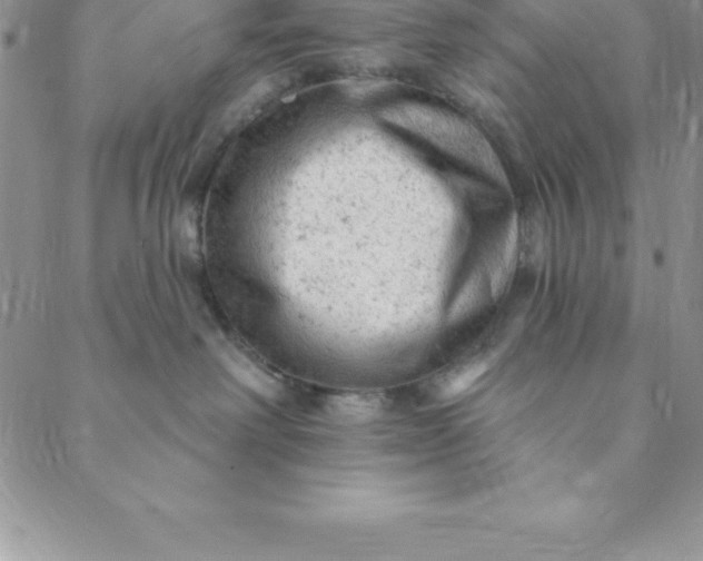 X0000088650238200706081645