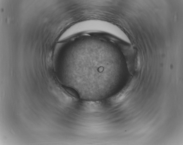 X0000088650239200706081645