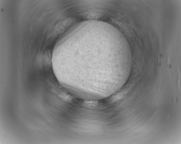 X0000088650240200706081645