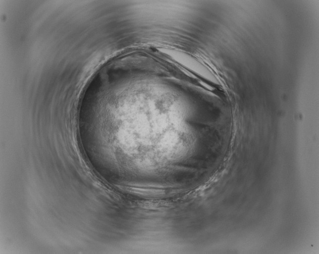 X0000088650241200706081644