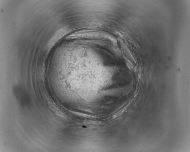 X0000088650242200706081644