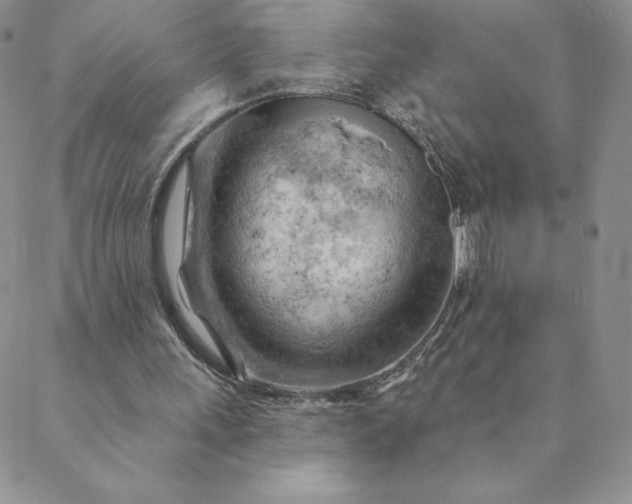 X0000088650243200706081644