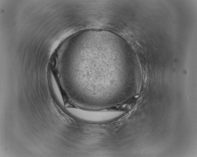 X0000088650244200706081644