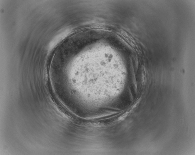 X0000088650245200706081644