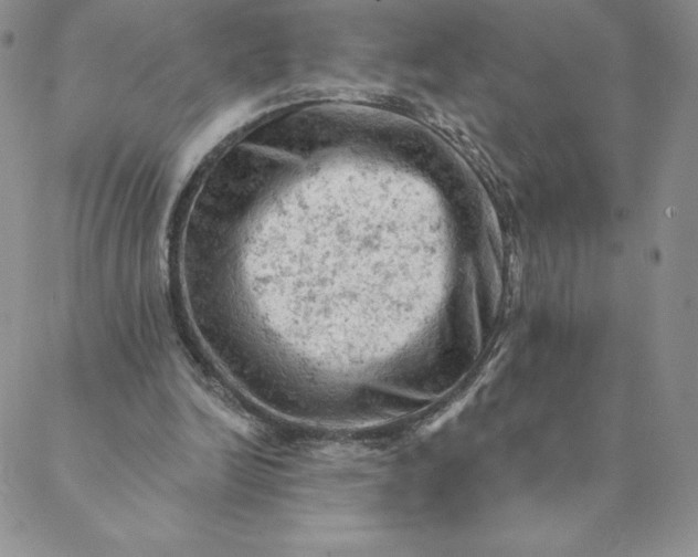 X0000088650246200706081645